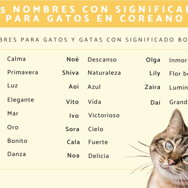 Nombres budistas para gatos 4