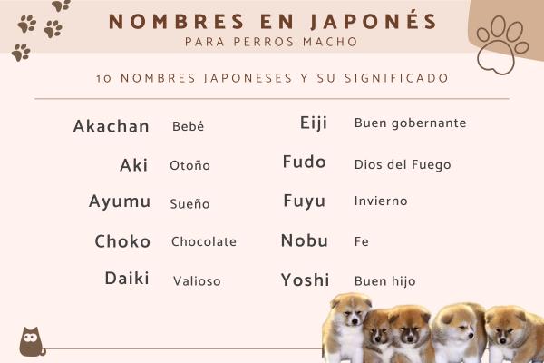 Nombres Chinos para Perros Machos y Su Significado