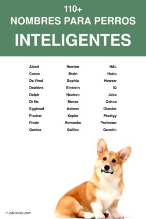 Nombres Científicos para Perros