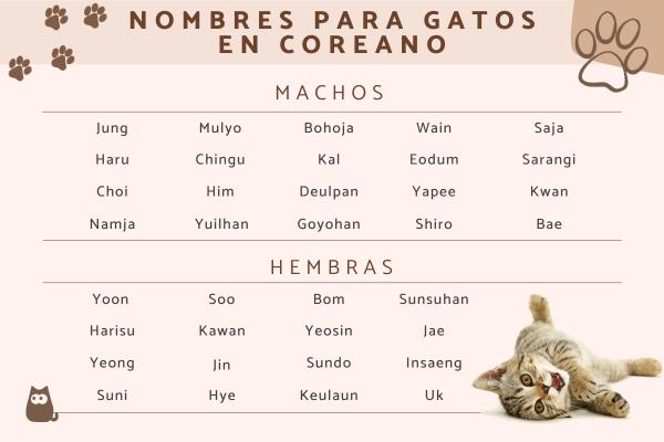 Nombres Coreanos para Gatos