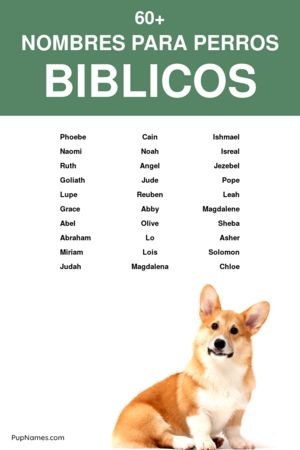 Nombres Cristianos para Perros