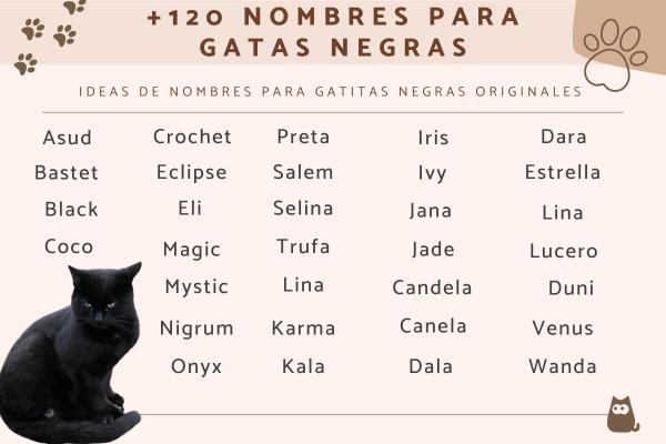 Nombres de Brujas para Gatos
