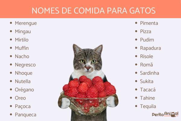 Nombres de comida para gatos 3