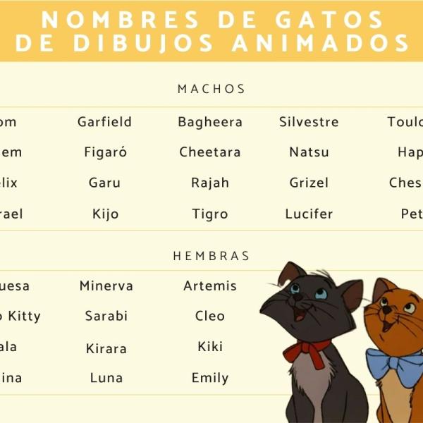 Nombres de dibujos animados para gatos 4