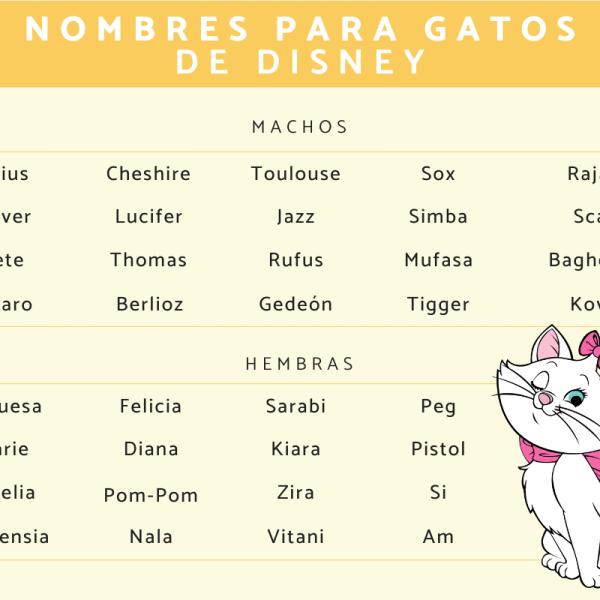 Nombres de disney para gatas 4