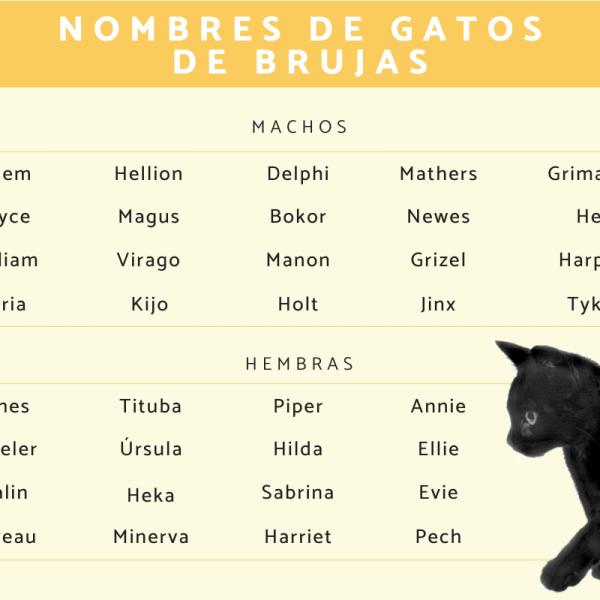 Nombres de frutas para gatos 4