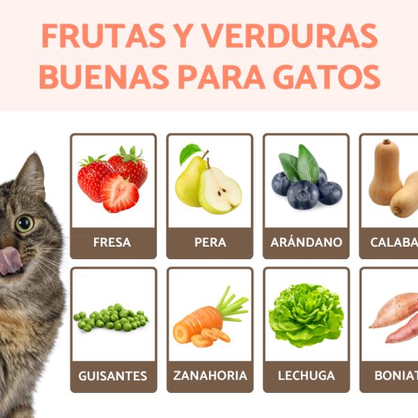 Nombres de frutas para gatos 5