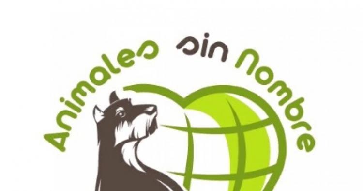 Nombres de fundaciones para perros de la calle 2