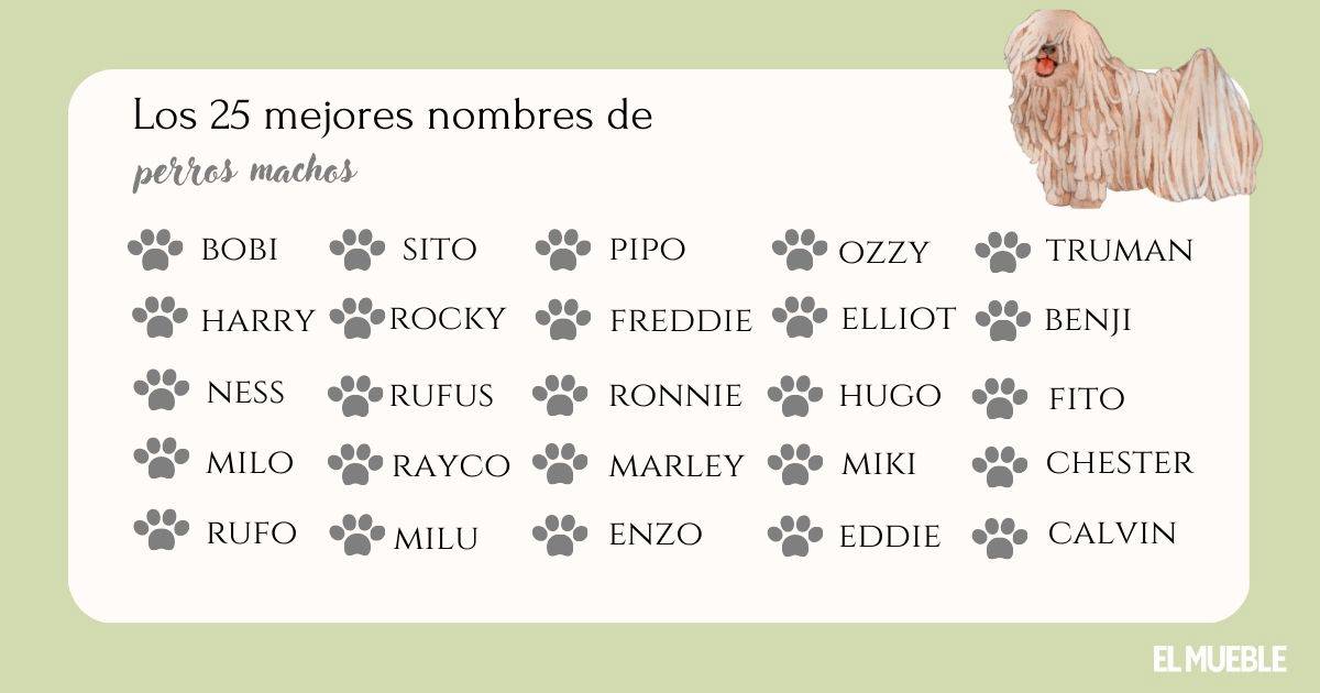 Nombres de Futbolistas para Perros