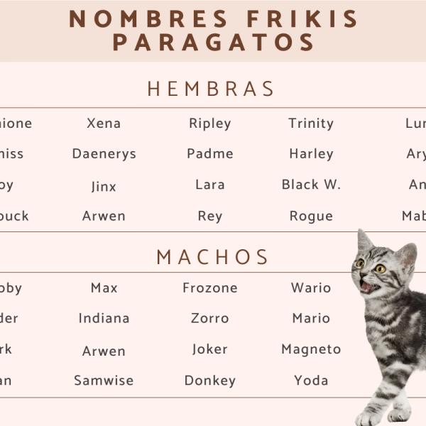 Nombres de juego de tronos para gatos 4