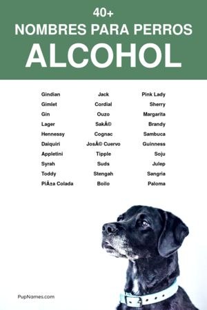 Nombres de Licores para Perros
