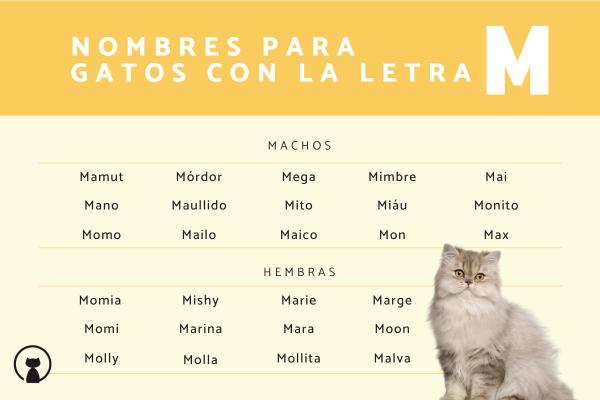 Nombres de marcas para gatos 4