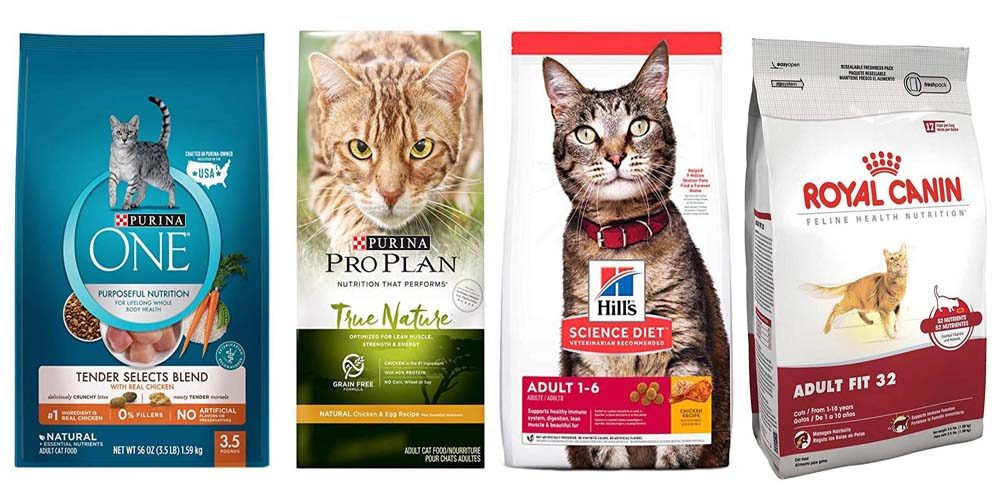 Nombres de marcas para gatos 5