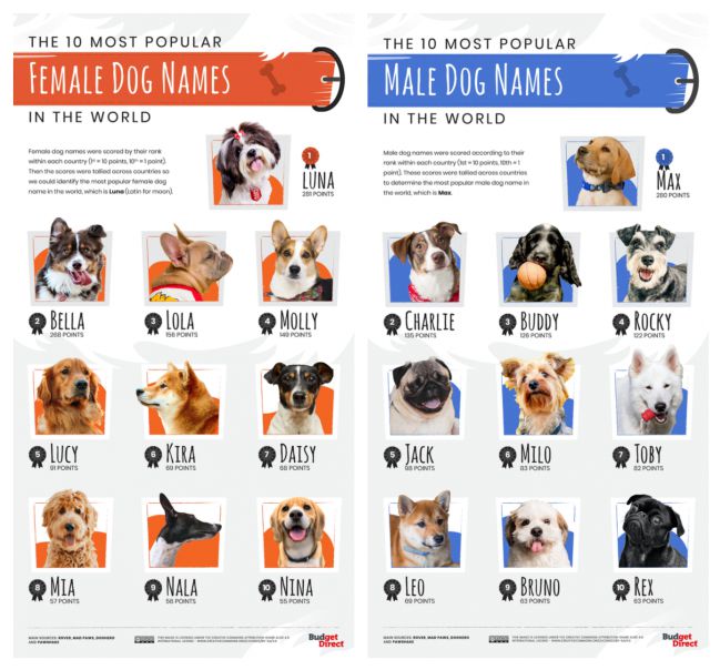 Nombres de Países para Perros Machos