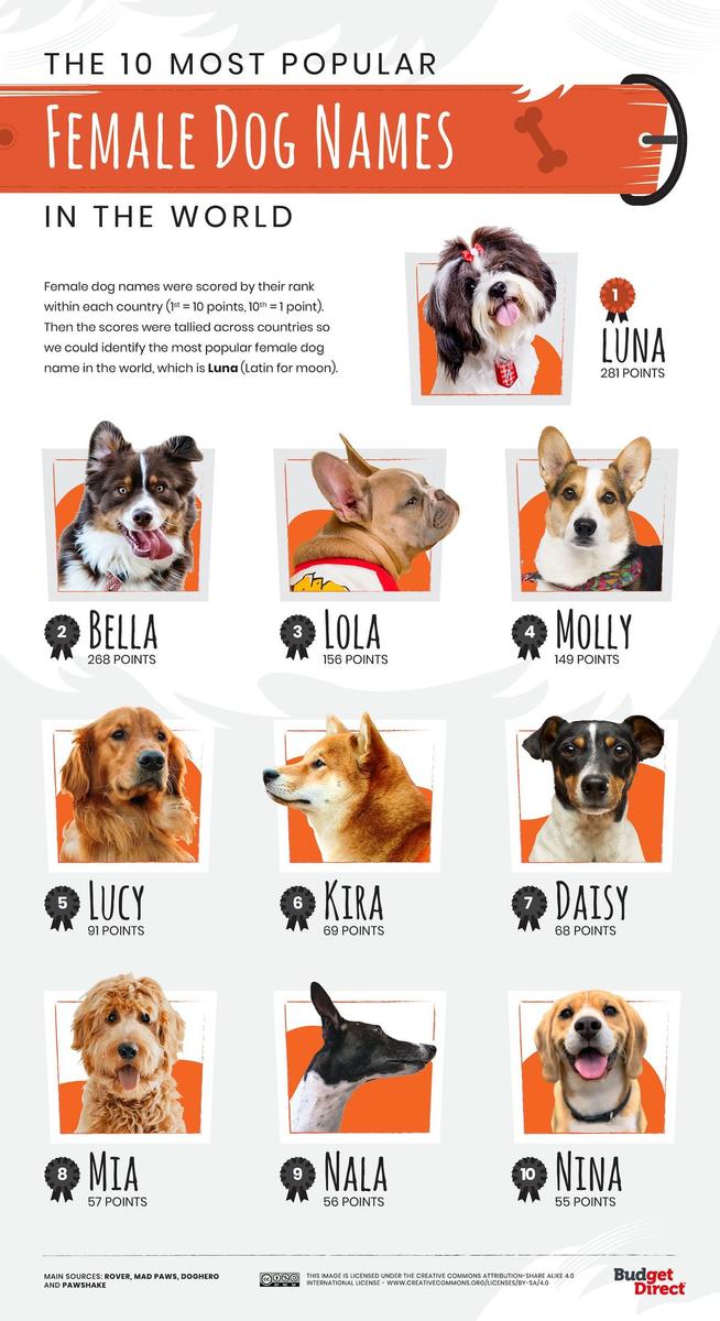 Nombres de Países para Perros