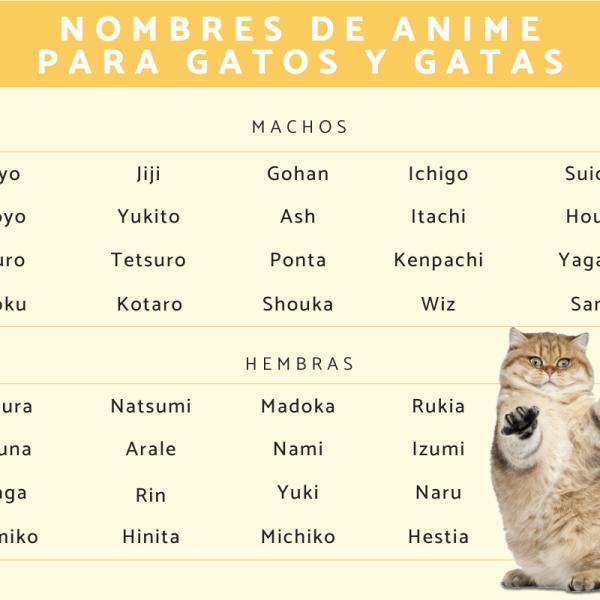 Nombres de Personajes de Anime para Gatos