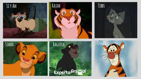 Nombres de Personajes de Disney para Gatos