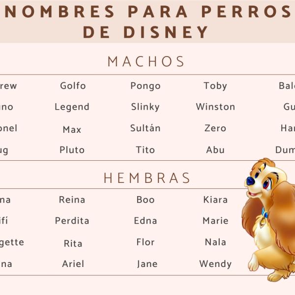 Nombres de Personajes para Perros