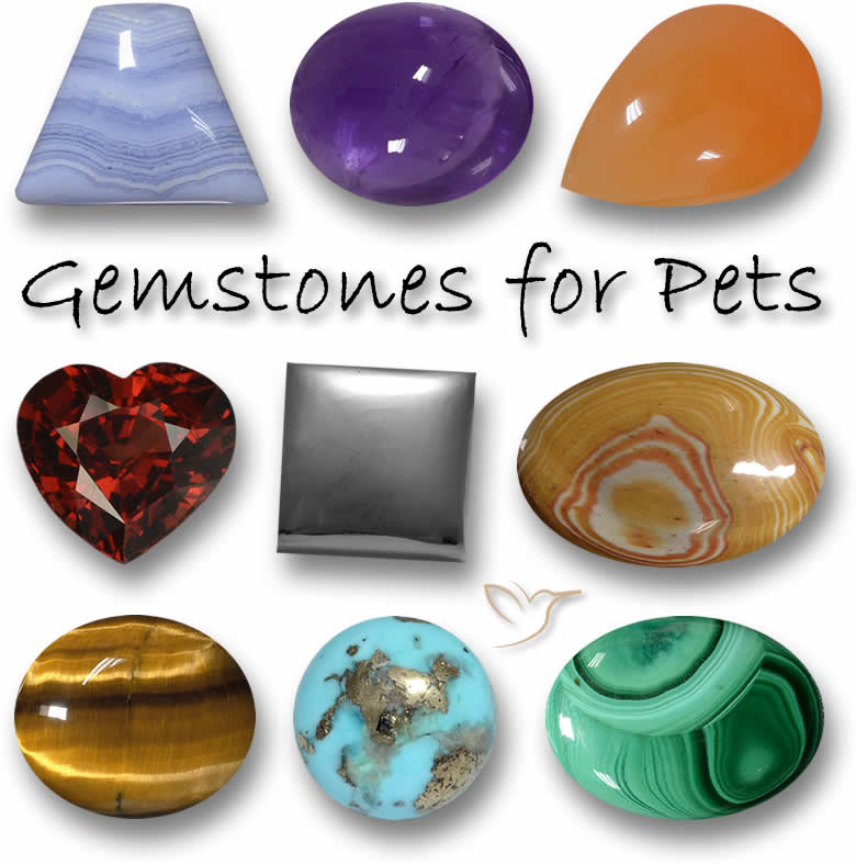 Nombres de Piedras Preciosas para Perros