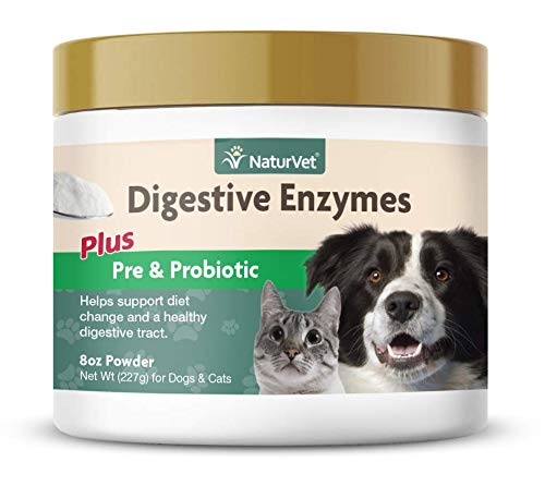 Nombres de probioticos para perros 2