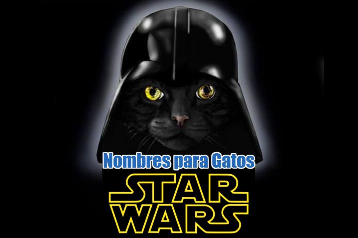 Nombres de star wars para gatos 4