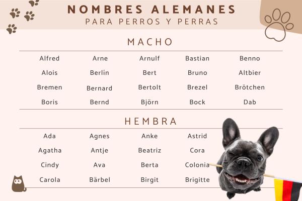 Nombres en Otros Idiomas para Perros