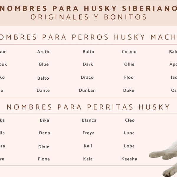 Nombres Esquimales para Perros
