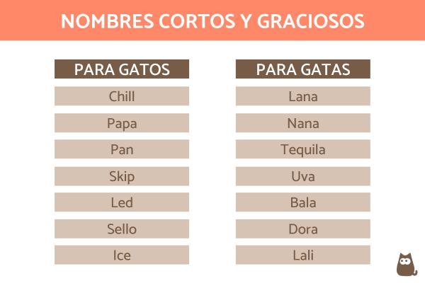 Nombres feos para gatos 5