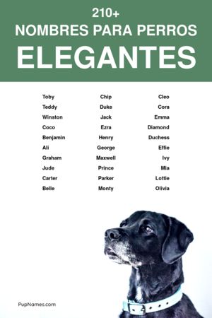 Nombres feos para perros 3