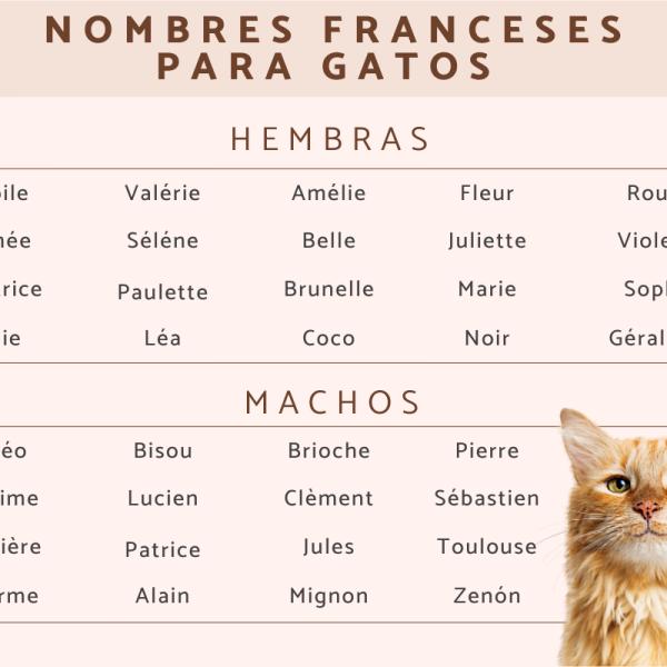 Nombres franceses para gatas 3