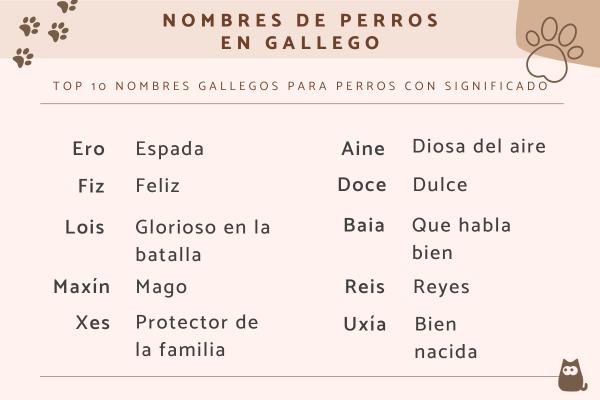 Nombres gallegos para gatos 4