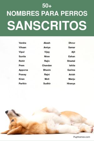 Nombres Hindúes para Perros