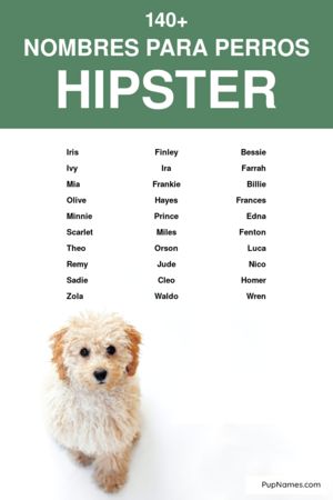 Nombres Hipster para Perros