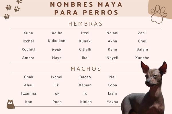 Nombres Indigenas para Perros
