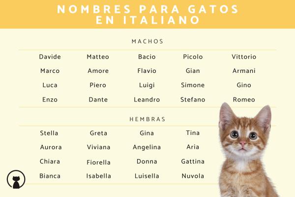 Nombres italianos para gatos machos 5
