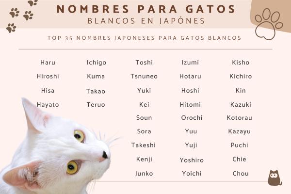 Nombres italianos para gatas 5