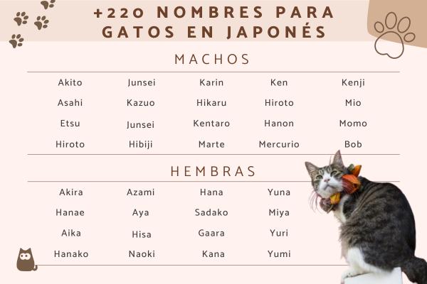 Nombres Japoneses para Mascotas Gatos