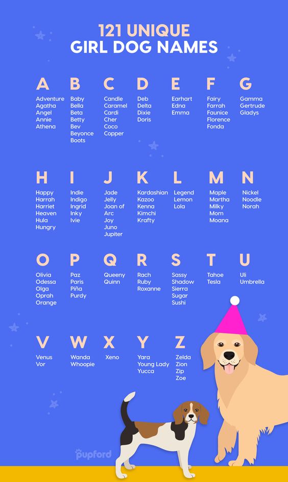 Nombres largos para perros 1