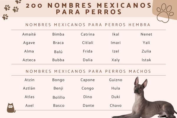 Nombres Latinos para Perros