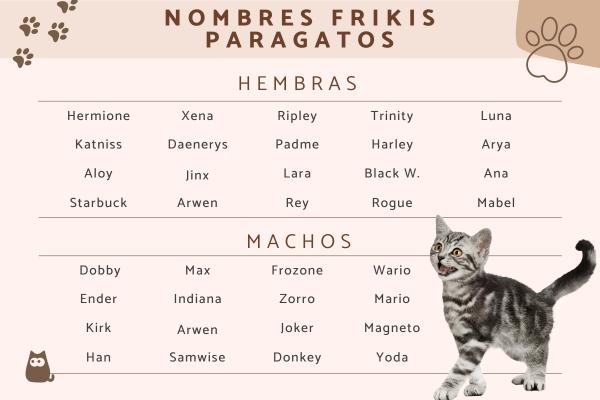 Nombres Literarios para Gatos