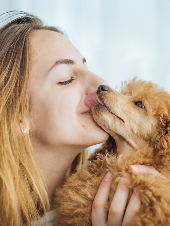 Nombres vikingos para perros machos 3