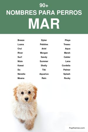 Nombres Marinos para Perros