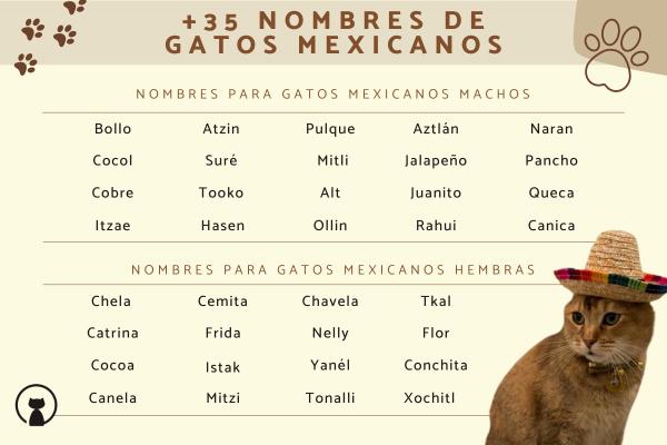 Nombres Mayas para Gatos