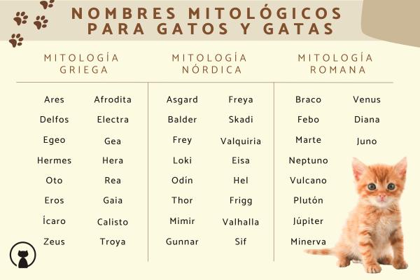 Nombres Misteriosos para Gatos