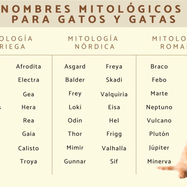 Nombres mitologicos para gatos 5