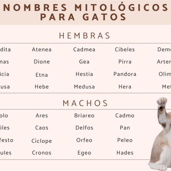 Nombres Mitológicos para Gatos