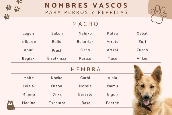 Nombres Originales para Perros en Euskera