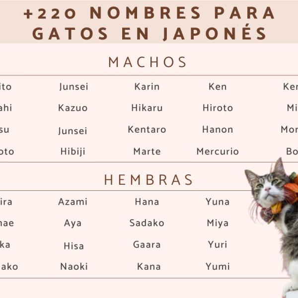 Nombres Otaku para Gatos