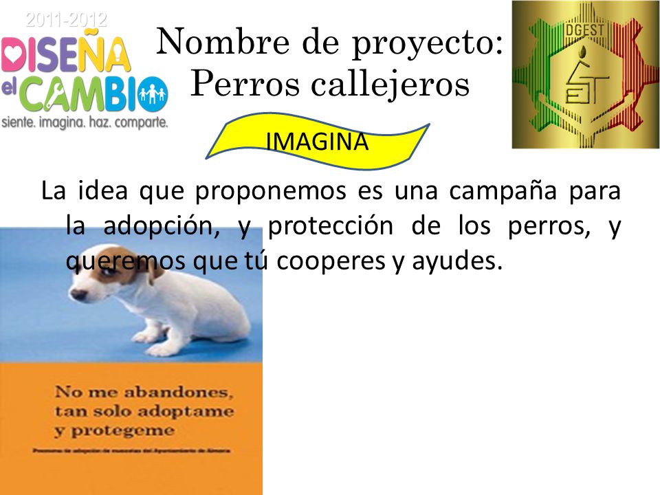 Nombres para Campañas de Perros