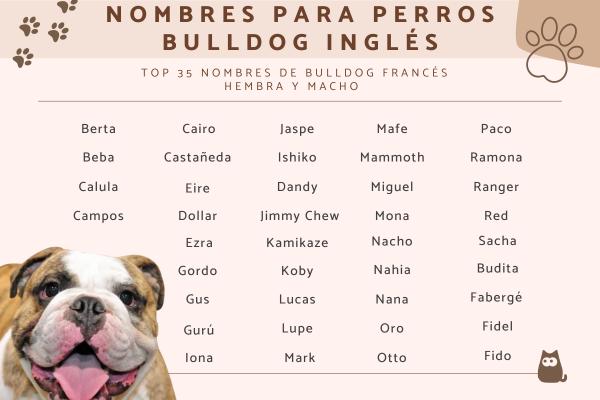 Nombres para Criaderos de Perros Bulldog